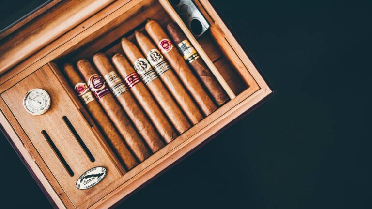 Exploring the World of Cigar Humidors and Smoking Accessories