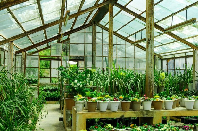 What Percentage Shade Cloth for Greenhouse Works Best? Tips for Choosing